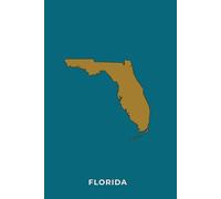 FLORIDA TEAL AND GOLD - Premium Lined Journal | 6" x 9" | Soft Cover | 120+ Pages - Bold State-Inspired Design: A High-Quality State Notebook - Ideal for School, Work, or Everyday Notes