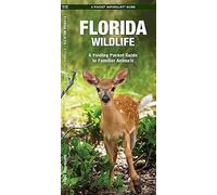 Florida Wildlife: A Folding Guide to Familiar Animals (A Pocket Naturalist Guide) (Pocket Naturalist Guide Series)