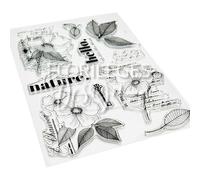 Florilèges Design Clear Stamp, Transparent/Green, Format : A5