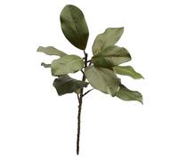 FlorisDecor 22'' Realistic Southern Magnolia Branches, Real Touch Magnolia Leaves, Artificial Magnolia Picks for Home Décor, Set of 3