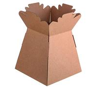 Florist Bouquet Box Flower Plant Aqua Boxes ML - Choose Quantity and 22 Colour Choice (1, Kraft)
