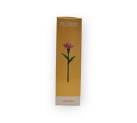 Florist Carnation Collection Chart, Professional Flower Guide, 12 Varieties, Yellow and Grey