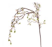 FloristryWarehouse Artificial Cherry Blossom Branch Weeping 110cm/43 Inches White Spring Flowers