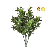 FloristryWarehouse Artificial Dark Green Buxus Boxwood Stem 47cm/18 Inches Fire Retardant UV Treated