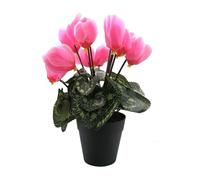 FloristryWarehouse Artificial Faux Silk Cyclamen Flower Bush in Pot 28cm Tall Pink