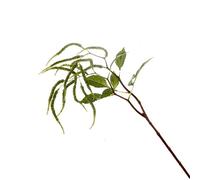FloristryWarehouse Artificial Green Amaranthus Spray 14 Heads 95cm/37 Inches