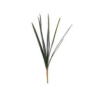 FloristryWarehouse Artificial Orchid Leaves Bundle 71cm/28 Inches Dark Green
