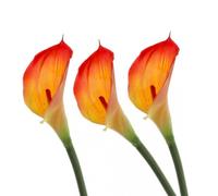 FloristryWarehouse Artificial Real Touch Calla Lily Bundle of 3 Stems 66cm/26 Inches Red Yellow