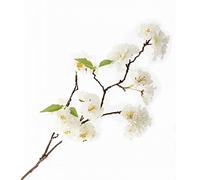 FloristryWarehouse Artificial Silk Japanese Cherry Blossom Flower Spray 75cm/29 Inch Cream