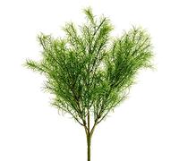 FloristryWarehouse Artificial Springeri Asparagus Fern Bush 35cm/13.5 Inches