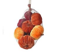 FloristryWarehouse Bag Of 8 Velvet Autumn Pumpkin Gourds Brown Stalk 6 to 9cm Wide Orange Mix