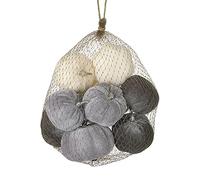 FloristryWarehouse Bag Of 8 Velvet Autumn Pumpkin Gourds Silver Stalk 6 to 9cm Wide Grey Mix