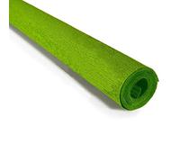 FloristryWarehouse Crepe Paper roll 90g (50 x 150cm) Apple Green (Shade 396)