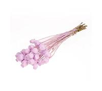 FloristryWarehouse Dried Bunch of Pastel Papaver Poppy Seed Pods 60cm/24 Inches Misty Lilac