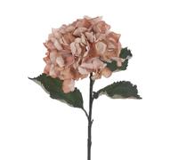 FloristryWarehouse ECO Sustainably Produced Faux Silk Hydrangea Stem 60cm/24 Inches Tall Beige