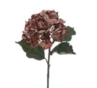 FloristryWarehouse ECO Sustainably Produced Faux Silk Hydrangea Stem 60cm/24 Inches Tall Brown
