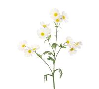 FloristryWarehouse ECO Sustainably Produced Faux Silk Wild Cosmos Flower Spray 77cm/30 Inches Cream