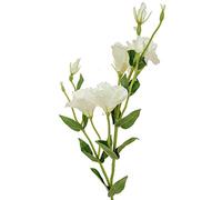 FloristryWarehouse Eustoma or Lisianthus Blanco Stem Artificial 80cm White