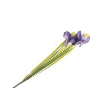 FloristryWarehouse Faux Silk Artificial Iris Bunch Purple Yellow 3 Flower Heads 63cm