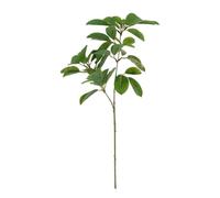 FloristryWarehouse Faux Silk Artificial Mountain Laurel Foliage Stem 72cm