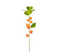 FloristryWarehouse Faux Silk Chinese Lantern or Physalis Flower Stem 90cm Orange