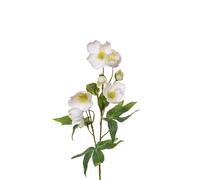 FloristryWarehouse Faux Silk Helleborus Flower Stem 55cm Tall White