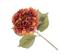 FloristryWarehouse Faux Silk Hydrangea Stem Burnt Orange 82cm/32 Inches