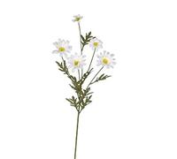 FloristryWarehouse Faux Silk Marguerite Daisy Spray Pack of 3 Stems 68cm/27 Inches Tall