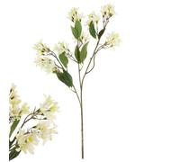 FloristryWarehouse Faux Silk Spring Blossom Flower Spray 70cm/27 Inches Cream