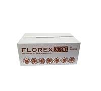 FloristryWarehouse Florex Dry Foam Floral Brick Box of 20