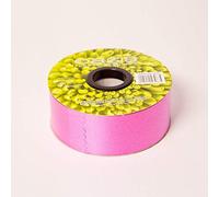 FloristryWarehouse Florist Ribbon Cerise Pink 2"