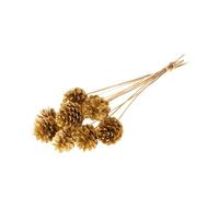 FloristryWarehouse Gold 5-7cm Natural Pine Cones On Sticks Pack of 10 55cm