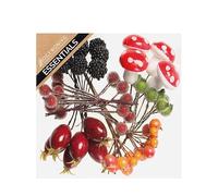FloristryWarehouse Mixed Autumn Fruit Picks Box Berry Rosehip Blackberry Mushroom 10-13cm