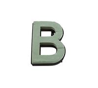 FloristryWarehouse Oasis Naylorbase Quick Clip Letter B