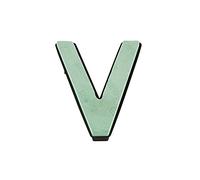 FloristryWarehouse Oasis Naylorbase Quick Clip Letter V