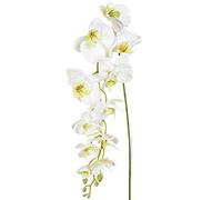 FloristryWarehouse Orchid Phalaenopsis Artificial Silk Trailing 130cm White