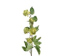 FloristryWarehouse Pack of 3 Faux Silk Artificial Hop Branches 75cm/29 Inches Tall Green