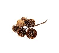 FloristryWarehouse Pack of 36 Natural Mini Pine Cones on Wires