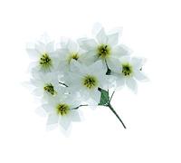 FloristryWarehouse Poinsettia Bush White Artificial Silk 7 Heads 30cm