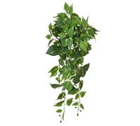 FloristryWarehouse Trailing Artificial Silk Pothos or Devil's Ivy Bush Fire Retardant 80cm/31 Inches
