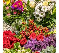 Florists Choice Fresh Flower Bouquet | Let our Florists WOW you with a Custom Creation Based On Your Card Message |