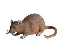 FLORMOON Animal Figures Realistic Mouse Action Model Science Project, Learning Educational Toys, Birthday Gift, Cake Topper for Kids