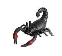 FLORMOON Animal Figures Realistic Scorpion Action Model Science Project, Learning Educational Toys, Birthday Gift, Cake Topper for Kids