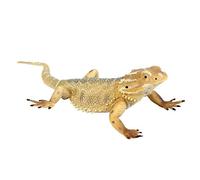 FLORMOON Lizard Figure Realistic Animal Figurines Early Educational Lizard Toy Science Project Christmas Birthday Cake Topper for Kids Toddler