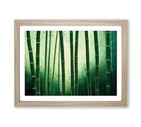 Flourishing Bamboo Forest H1022 Framed Print for Living Room Bedroom Home Office Décor, Wall Art Picture Ready to Hang, Oak A3 Frame (46 x 34 cm)