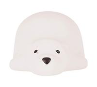 Flow Amsterdam Bjorn projector