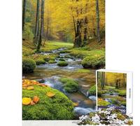 Flow Jigsaw Puzzles 1000 Pieces for Teenagers Boost Memory And Cognitive Function Calm Peaceful Leisure Activity (38X52cm)