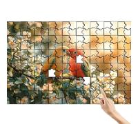 Flower 1500 Piece Jigsaw Puzzles for Adults, Parrot Jigsaw Puzzle Educational Games, Colourful Fun Puzzles with Box, Challenging & Brainteasing for The Whole for Men, Home Decor Gifts for Women H-1