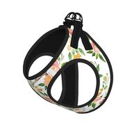 Flower And Bird Print Harness Leash Set For Cats And Dogs, Reflective Adjustable, Soft Breathable Mesh Vest With Escape-Proof Lead, For Small Pets And Kitten Puppies