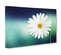 Flower Beautiful White Daisy Modern Canvas Wall Art Print Ready to Hang, Framed Picture for Living Room Bedroom Home Office Décor, 20x14 Inch (50x35 cm)